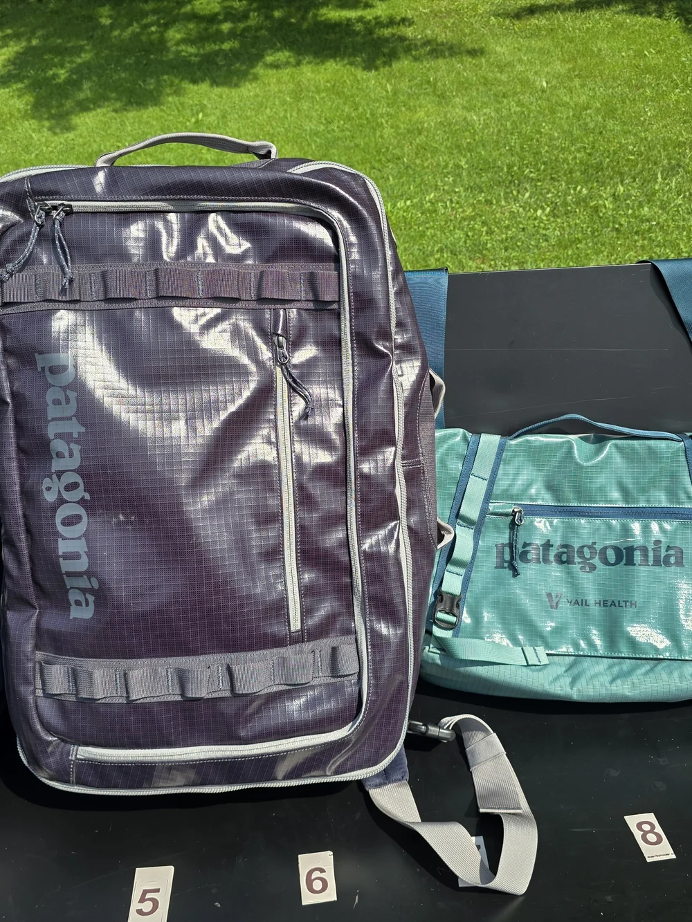 Patagonia Glossy Tpu Bags